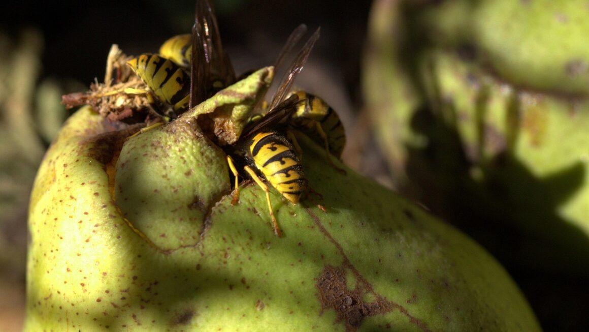 investimentos seguros para iniciantes com pouco risco