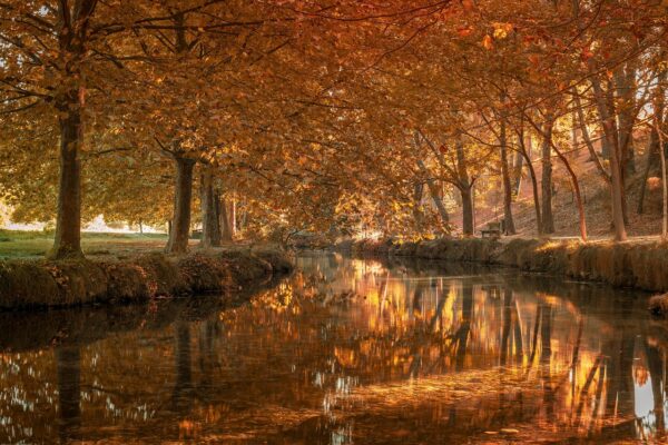 Guia Completo: Modelo de Planilha de Controle de Gastos para Empresas e MEI