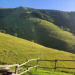 como investir em renda fixa com alta rentabilidade