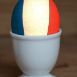 melhores investimentos para iniciantes em 2026